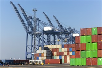 Gantry cranes and piles of shipping containers on quayside, Port of Felixstowe, Suffolk, England,