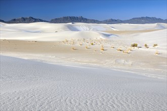 Gypsum Sand Dunes, White Sands National Monument, New Mexico, USA, North America