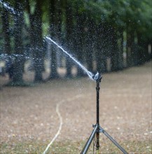 Lawn sprinkler irrigates withered meadow in park, Potsdam, Brandenburg, Germany, Europe