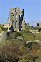 Ruins of the medieval Corfe Castle in autumn on the Isle of Purbeck along the Jurassic Coast in