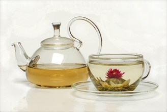 Cup with flower tea, Tea flower 'Petite Princesse', White tea with jasmine and amaranth blossoms,