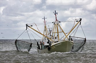 Fishing boat, trawler on the North Sea towing fishing nets, Ostend, Belgium, Europe