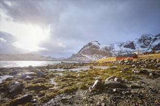 Red rorbu house in Norwegian fjord. Lofoten islands, Norway, Europe