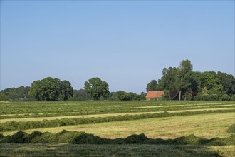 Hay harvest, Münsterland, North Rhine-Westphalia, Germany, Europe