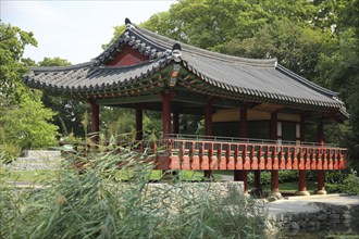 Korean Garden with Temple Pavilion Plum Arbour and Pond, Grüneburgpark, Chinese, Garden Art,