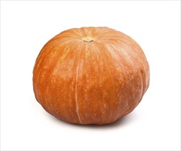 Pumpkin isolated on white background