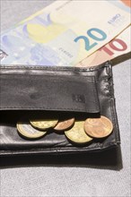 Wallet with coins and notes, euro, Germany, Europe