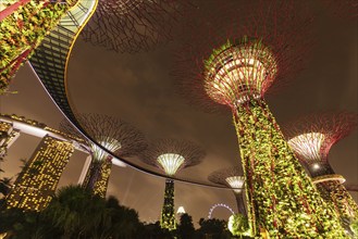 SINGAPORE, DECEMBER 31, 2013: Night view of Supertree Grove at Gardens by the Bay. Futuristic park