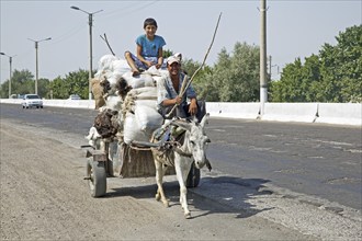 Uzbek men riding cart loaded with sacks of wool pulled by donkey along a mayor highway from