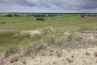 Inland Dunes by Klein Schmölen near the Elbe river, Mecklenburg Elbe Valley Nature Park,