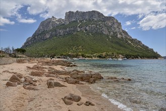 Beach on the Spit Spalmatore di Terra, Tavolara Island, Gulf of Olbia, Tyrrhenian Sea, Province of