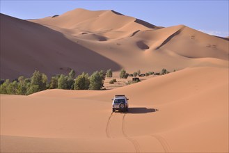 Car driving in the dunes, Great Sand Sea, Sahara, Merzouga, Meknès-Tafilalet region, Morocco,