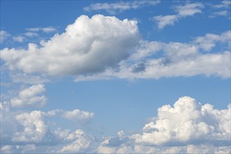 Cloud formation (cumulus), blue sky with low clouds, Baden-Württemberg, Germany, Europe