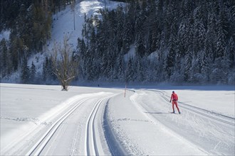 Cross-country skiing circuit alte Mühle, Ramsau am Dachstein, Styria, Austria, Europe