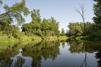 River landscape of the Thaya in late summer, Czech Republic, Europe