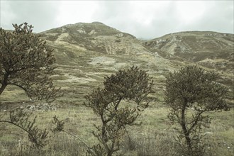 Landscape in the Andean highlands, Curipata, Peru, South America