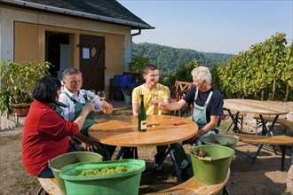 Not far from the Boselspitze, leaning towards the Elbe, is the vineyard known as the Rote Presse .