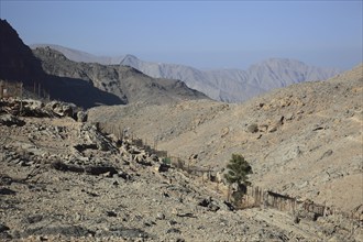 Landscape in the Jebel Harim area, in the Omani enclave of Musandam, Oman, Asia