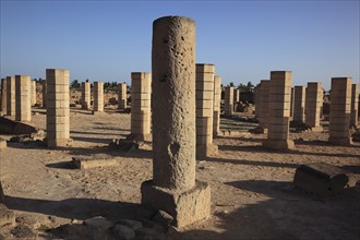 Settlement remains of the city and incense port of Al-Baleed, Unesco World Heritage Site, Salalah,