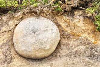 Moeraki Boulders Beach, Otago, Neuseeland