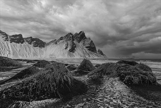 Black sand dunes with reed remains, behind them snowy rocky slopes of Vestrahorn, black and white