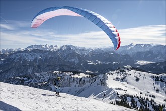 Mountains in winter, paraglider with skis on Sonntagshorn, Chiemgau Alps, Bavaria, Germany, Europe