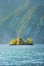 Small chive island in the turquoise waters of Lake Walen, Canton St. Gallen, Switzerland, Europe