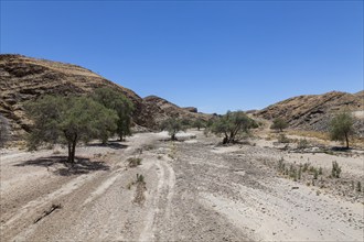 Kuiseb River, on Road C14, Namibia, Africa