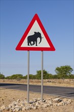 Traffic sign warning of elephants, Namibia, Africa