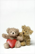 Two teddy bears and red heart, teddy