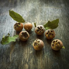 Medlars on a wooden background, studio shot, France, Europe