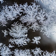 Ice crystals, snow crystals on glass, window pane of a flat in winter, illustration, symbol image,