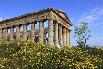 Temple of Hera, Temple of Hera in the former ancient city of Segesta, the province of Trapani,