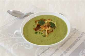 Swabian cuisine, cress soup with crisps, cress, plate with green cream soup, soup cup, soup bowl,