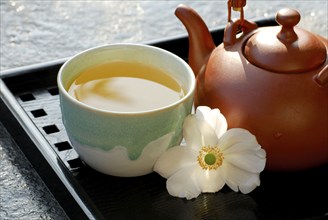 Cup and teapot with Sencha tea, green tea, green tea