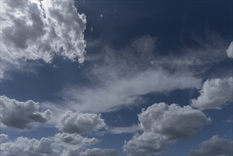 Cumulus cloud (Cumulus), Bavaria, Germany, Europe