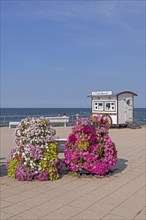 Ticket carts, flowers, beach promenade, Kühlungsborn, Mecklenburg-Western Pomerania, Germany,