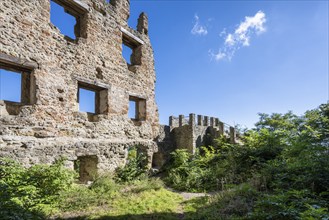 The Altbodman castle ruins, on the right the viewing platform, Bodman-Ludwigshafen, Constance