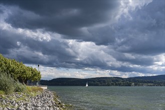 View across Lake Constance to the Höri peninsula, Radolfzell, Constance district,