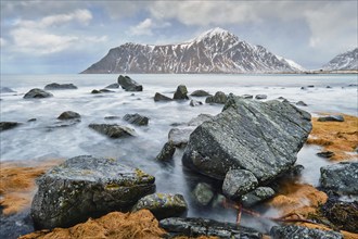 Rocky coast of fjord of Norwegian sea in winter with snow. Skagsanden beach, Lofoten islands,