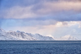 Norwegian fjord on sunrise. Lofoten islands, Norway, Europe