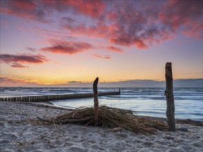 Sunset on the beach of the Baltic Sea with groyne, driftwood and washed-up reeds, Graal-Müritz,