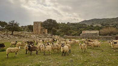 Agios Georgios, chapel, ruins of buildings, stone houses, cloudy sky, spring, archaic atmosphere,