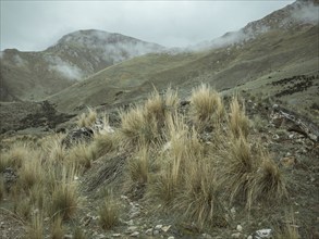 Landscape in the Andean highlands, Curipata, Peru, South America