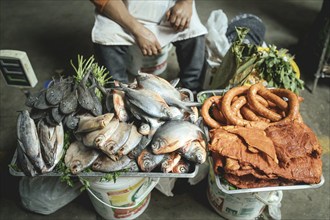 Fish from the Amazon, pacu, colossoma, pork and chorizo, specialities from the low-lying Amazon