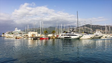 Luxury yacht marina, Porto Montenegro, Bay of Kotor, Montenegro, Tivat, Montenegro, Europe