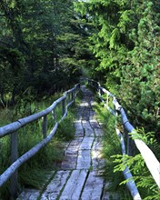 Wooden footbridge, Wildsee, Black Forest, Germany, Europe