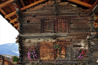 Traditional wooden granary decorated with geraniums in the alpine village of Grimentz, Valais,