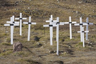 White wooden crosses on graves at the old cemetery of Longyearbyen in summer, Svalbard,