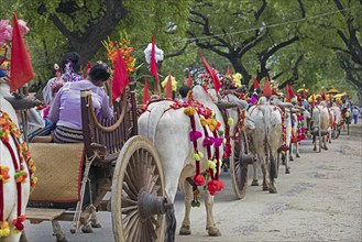 Traditional parade for Burmese children becoming a novice monks in the city Bagan, Pagan, Mandalay